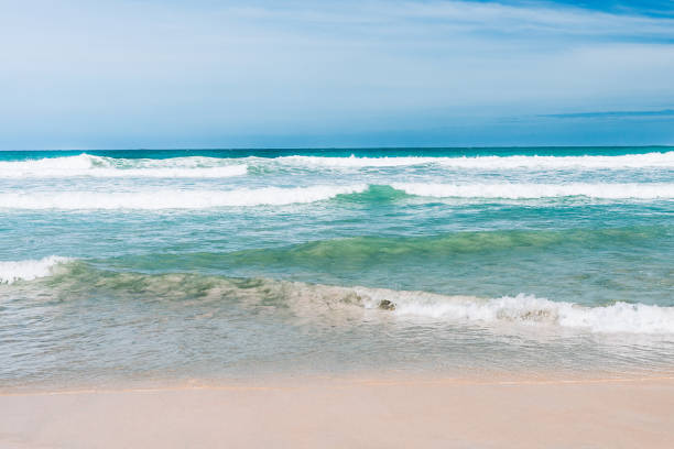 istock Sea view from tropical beach with sunny sky 824820560