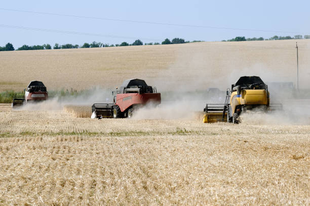 istock Combine harvesters working on a wheat field 824821362