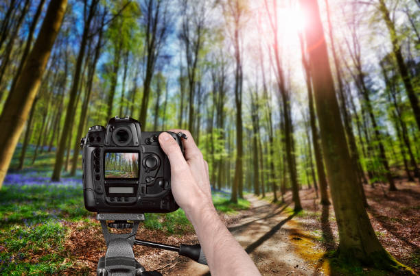 istock Hand holding a professional camera on tripod 824824474
