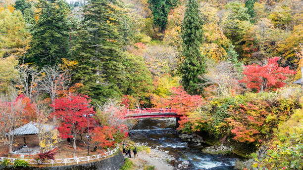 fudo stream and the red bridge at mount nakano-momiji - tree stream forest woods imagens e fotografias de stock