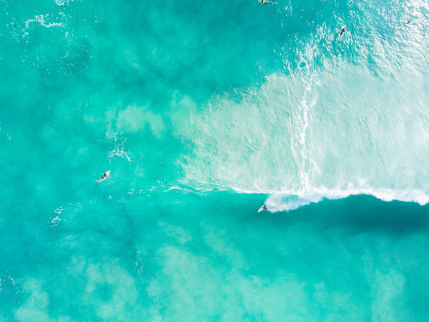 istock Surfing in Western Australia 824831480