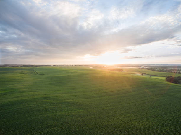 istock aerial view of a beautiful sunset over green agricultural fields 824831784