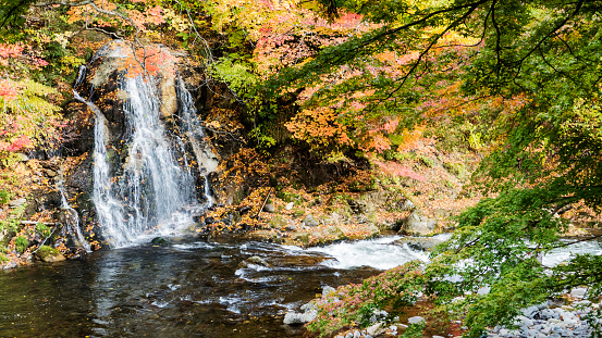 The Fudo stream and the red bridge at Mount Nakano-Momiji