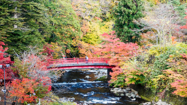istock Fudo stream and the red bridge at Mount Nakano-Momiji 824832028