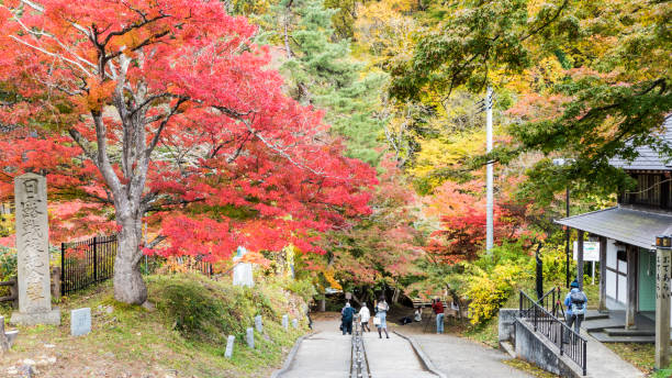 istock Fudo stream and the red bridge at Mount Nakano-Momiji 824832520