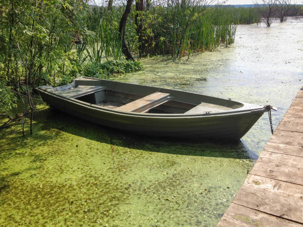 istock Abandoned boat near waterfront 824836378