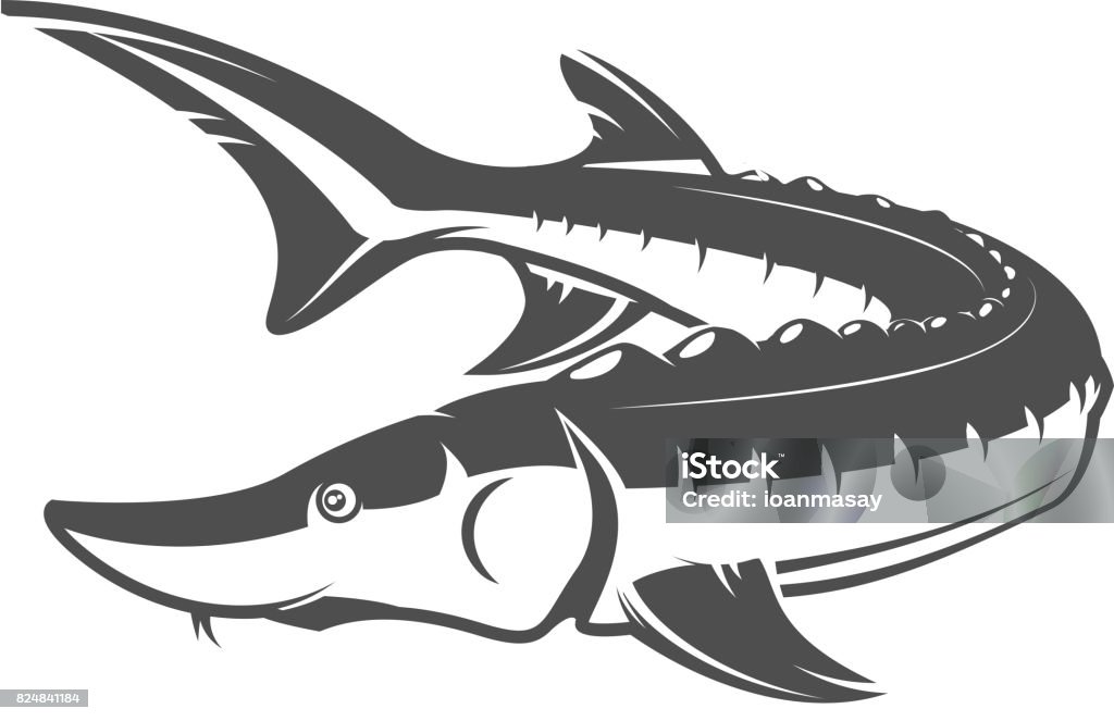 Fresh seafood. Sturgeon icon on white background. Design element for label, emblem, sign. Vector illustration Sturgeon stock vector