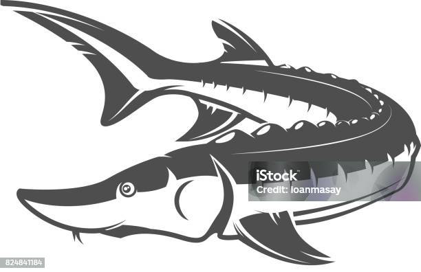 Fresh Seafood Sturgeon Icon On White Background Design Element For Label Emblem Sign Vector Illustration Stock Illustration - Download Image Now