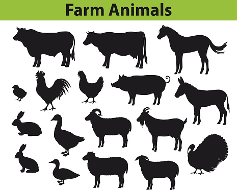 Farm animals silhouettes collection with cow, bull, horse, hen, chicken, rooster, pig, goat, sheeps, ducks, turkey, rabbits, donkey and goose