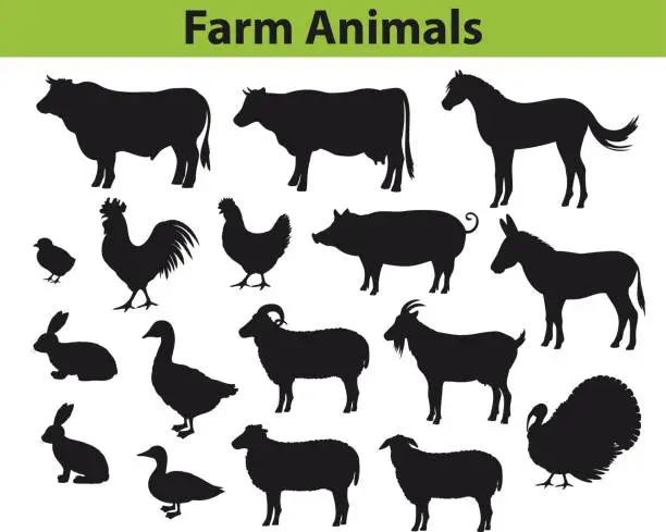 Vector illustration of Farm animals silhouettes collection with cow, bull, horse, hen, chicken, rooster, pig, goat, sheeps, ducks, turkey, rabbits, donkey and goose