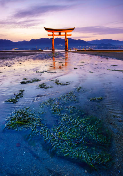 The floating Torii Gate, Miyajima island, Hiroshima, Japan stock photo