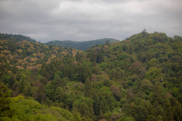 istock Mount Wakakusa 824844790