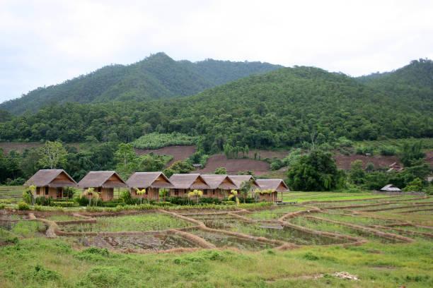 istock Local cottages and bungalows in rice paddies 824856444