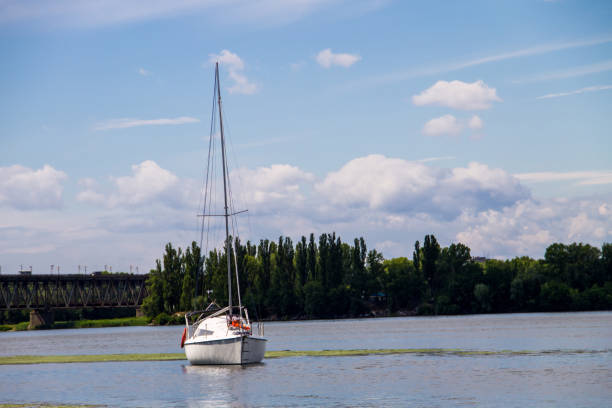 istock White sailing yacht on the river Dnieper 824864186