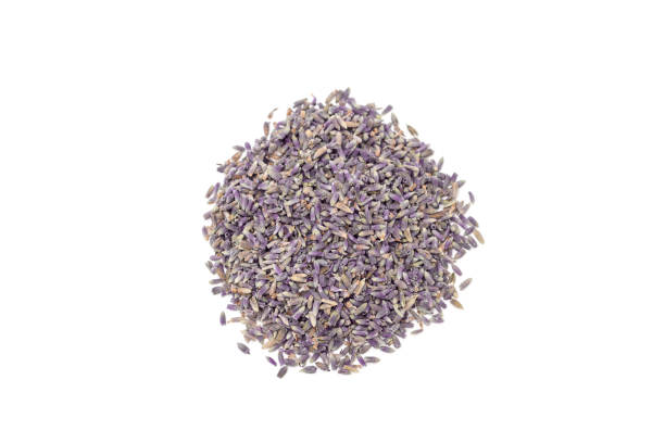 istock Heap of dry lavender tea, isolated on white background, top view 824871006