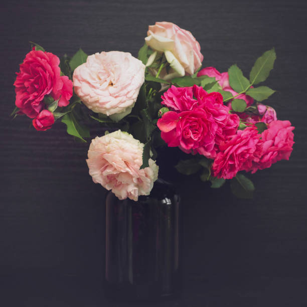 istock still life with roses in a vase. square image. matte toning. 824878496