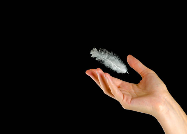 istock Close up of white feather falling to hand 824878838
