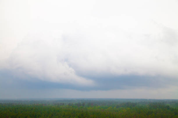 Aerial view spring summer rain cloudy sky, green forest