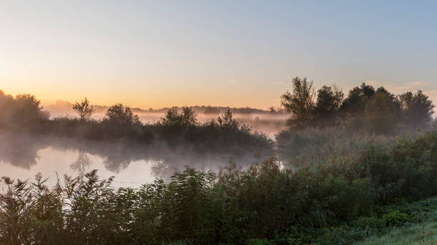 istock Sunrise over swamp 824879774