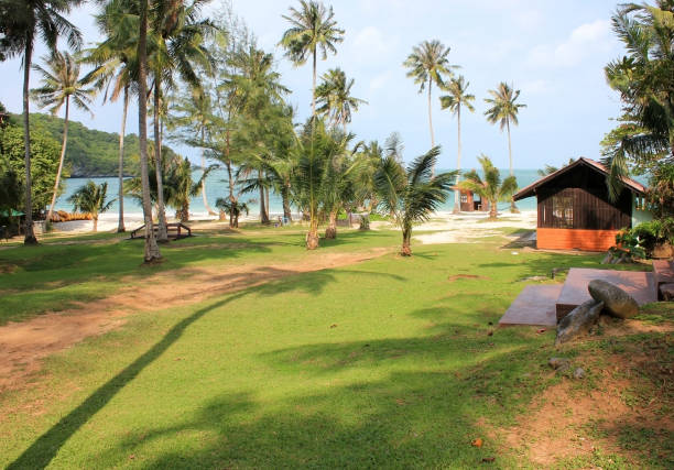 istock Coconut beach with small houses and lawns 824880070