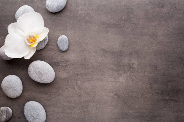 istock White orchid and spa stones on the grey background. 824880308