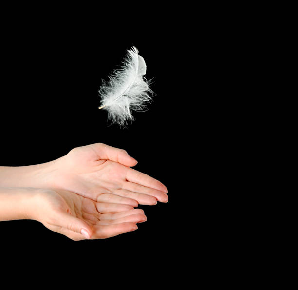 istock Close up of white feather falling to hands 824880650