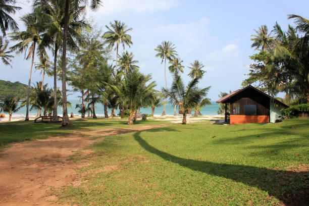 istock Coconut beach with small houses and lawns 824883294