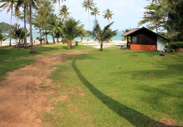 istock Coconut beach with small houses and lawns. 824883522