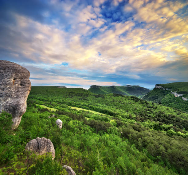 Mountain landscape. Composition of nature.
