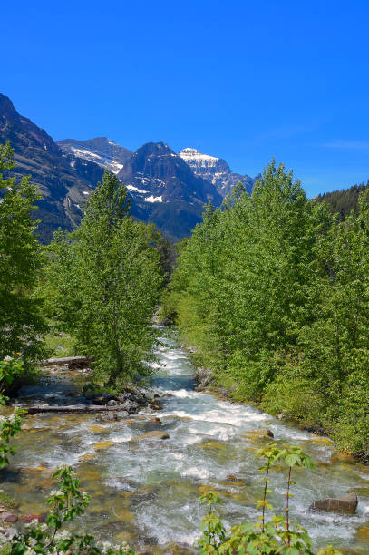 blanco corriente de agua en parque nacional los glaciares - montana water landscape nature fotografías e imágenes de stock