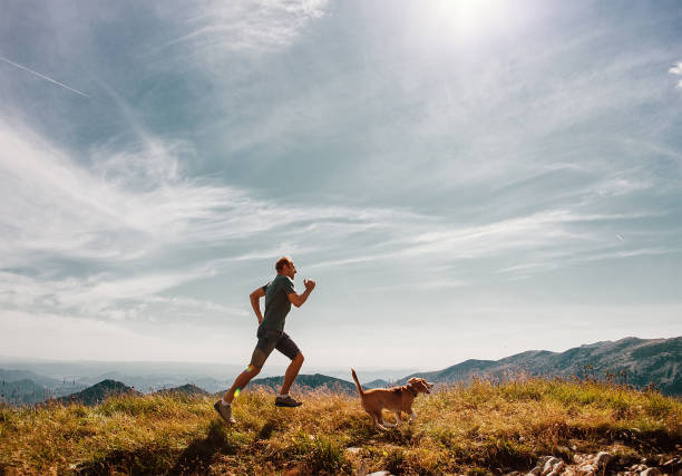 istock Man runs with his beagle dog on mountain top 824893658