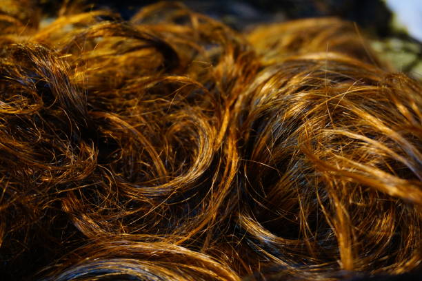 istock Colorful hair pieces and wings 824896802