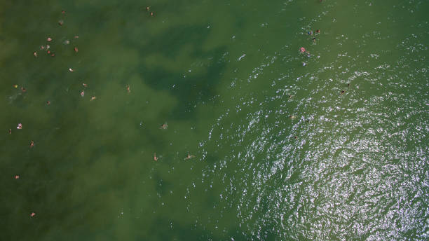 istock The sea in the afternoon view from above 824897426