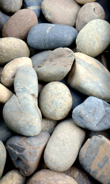istock Abstract background with dry round pebble stones macro 824899808