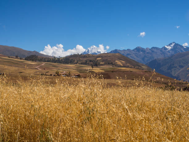 istock Andes mountains near Moray 824900544