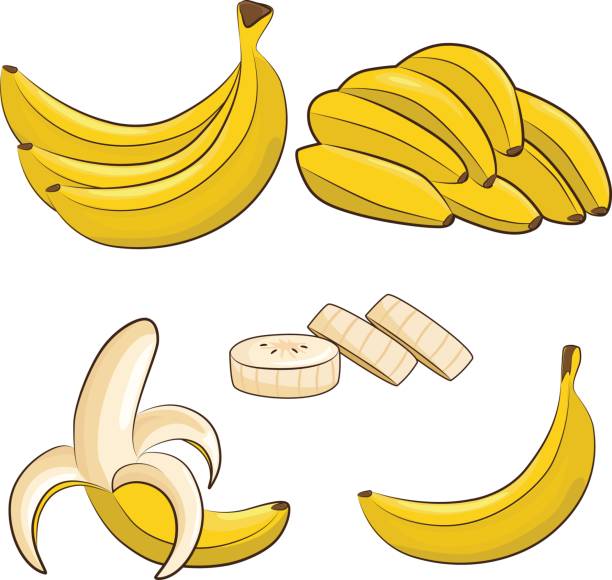 bananas Vector fresh bananas. Peeled and sliced bananas, collection of sketch style vector illustration isolated on white background. banana drawings stock illustrations