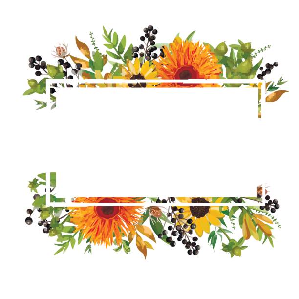 Vector floral design horizontal card design. Gerbera orange daisy flower garden sunflower green fern seasonal berry branches leaves mix Greeting invitation wedding. Autumn Frame border with copy space Vector floral design horizontal card design. Gerbera orange daisy flower garden sunflower green fern seasonal berry branches leaves mix Greeting invitation wedding. Autumn Frame border with copy space fall flower stock illustrations