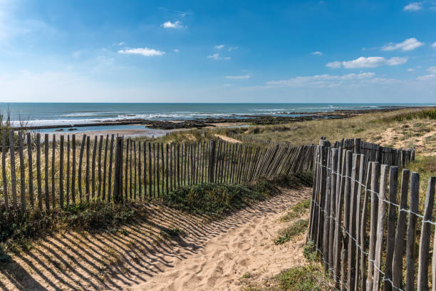 camino en las dunas a la playa - cote dor fotografías e imágenes de stock