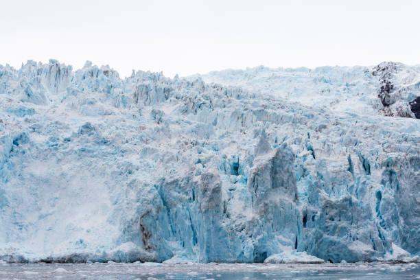istock Holgate Glacier in Kenai Fords 824913126