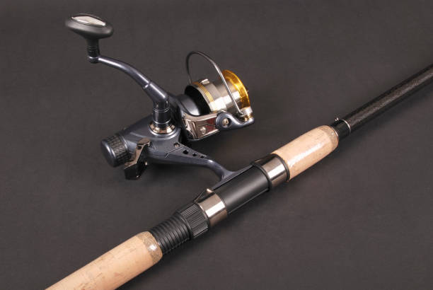 istock One fishing rod 824923984