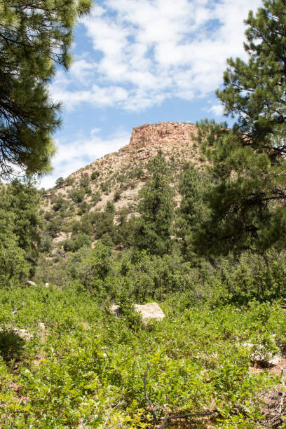 istock Twin Buttes in Durango, Colorado 824928472