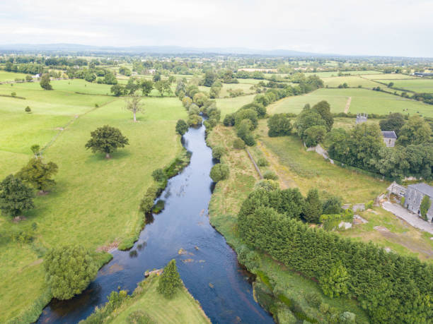 The river Suir, Golden, Co. Tipperary, Ireland. Aerial view of a fork in the river Suir, Golden, Tipperary, Ireland. river suir stock pictures, royalty-free photos & images