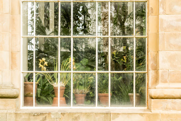 Edinburgh Botanic Gardens greenhouse window