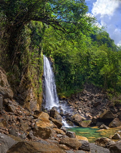 istock Trafalgar Falls, Dominica 824956044