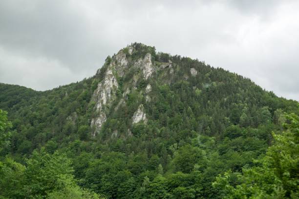 istock Green meadow with trees and views to mountains. 824956838