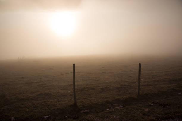 Morning sun filtered through fog on a mountain, with a fence silhouette