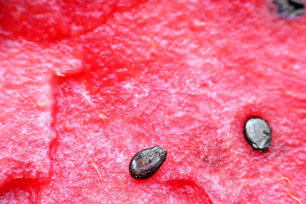 istock Red juicy sugar watermelon 824959144