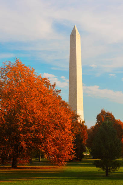 washington monument während indian summer, washington dc - washington dc autumn capitol building usa stock-fotos und bilder