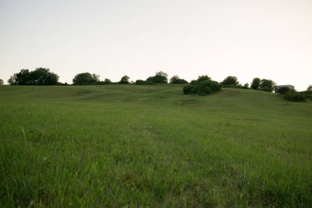 istock Green meadow with trees and views to mountains. 824966994