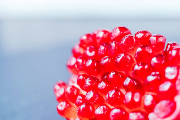 pomegranate fruit segment on dark vintage background  with copy space - usa restaurant flower bed beauty in nature imagens e fotografias de stock